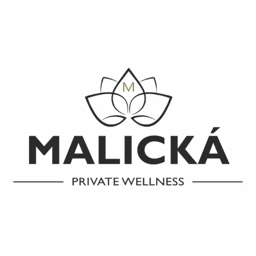 Logo PLZEŇSKÁ SAUNA MALICKÁ